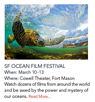 SF Ocean Film Festival